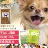 サミーフィッシュ口コミ・効果！国産無添加犬用ふりかけSAMeサプリ！